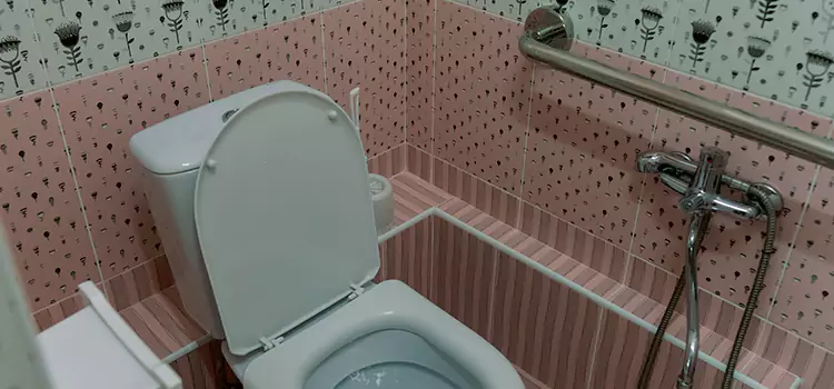 Meeting Diverse Needs With Accessible Restroom Solutions in Pharr, TX