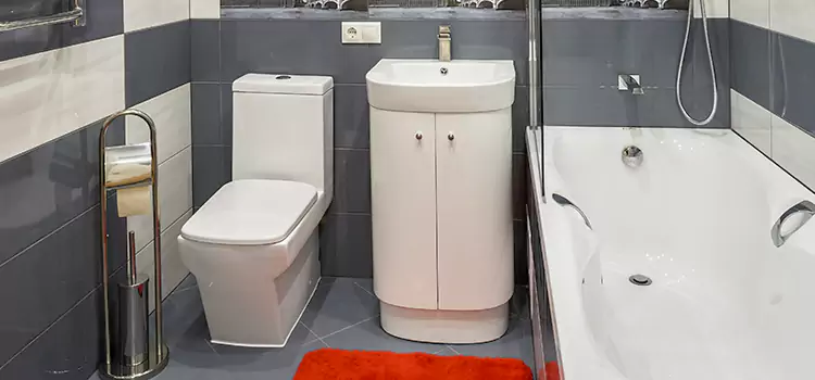 Hansgrohe Shaving Mirror Pharr
